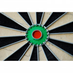Winmau Pro SFB Dart Tahtası