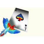 Infinity Playing Cards Oyun Kartı Difatta