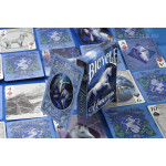 Bicycle Anne Stokes Unicorns Oyun Kartları