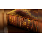 Ad Fontes Renaissance (Regal Edition) Oyun Kartı