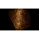 Ad Fontes Renaissance (Regal Edition) Oyun Kartı