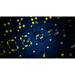 Bicycle Dog (Blue) Playing Cards 